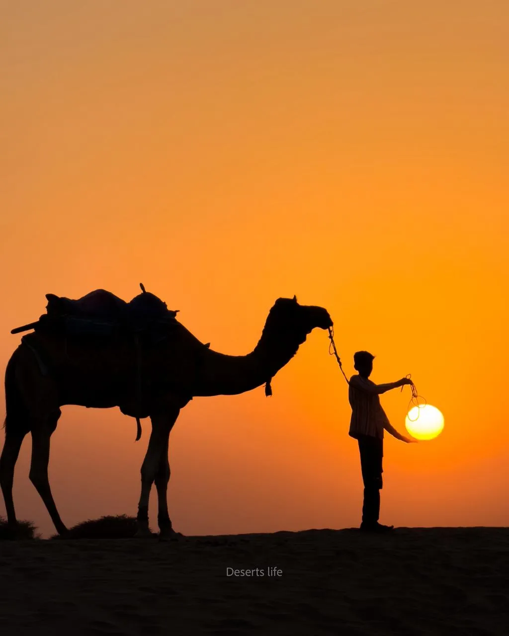 Deserts Life Journey - happy-farmer